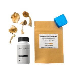 Första timmaren Magic Mushroom Kit: Psykologi 101