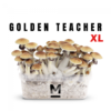 Paddo kweekset Golden Teacher XL van Mondo®