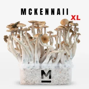 Magic Mushroom Grow Kit McKennaii XL by Mondo®