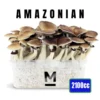 Magic Mushroom Grow Kit PES Amazonian XL by Mondo®