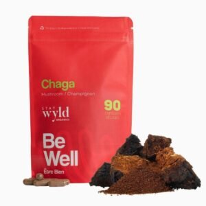 Stay Wyld Organics - Gélules de champignon Chaga (sachet de 90)